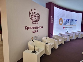 Об участии делегации Краснодарского края в Петербургском международном экономическом форуме