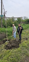 Об участии сотрудников Представительства МИД России в г.Краснодаре в акции «Сад памяти»